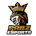 PABZ ESPORT