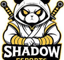 Shadow Esports