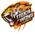 Tiger Wong Esports